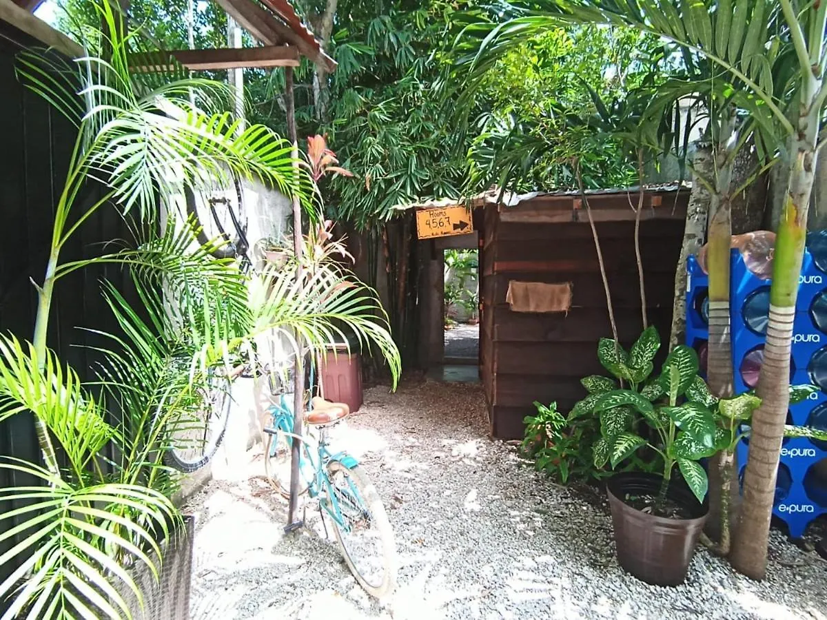 ** Casa de hóspedes Primitive Rooms Tulum Selfcheck-In Adults Only México