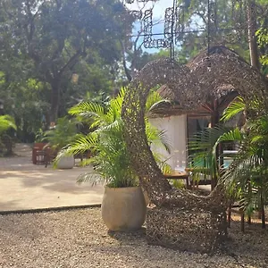 Kin Jungle Deluxe Pensión